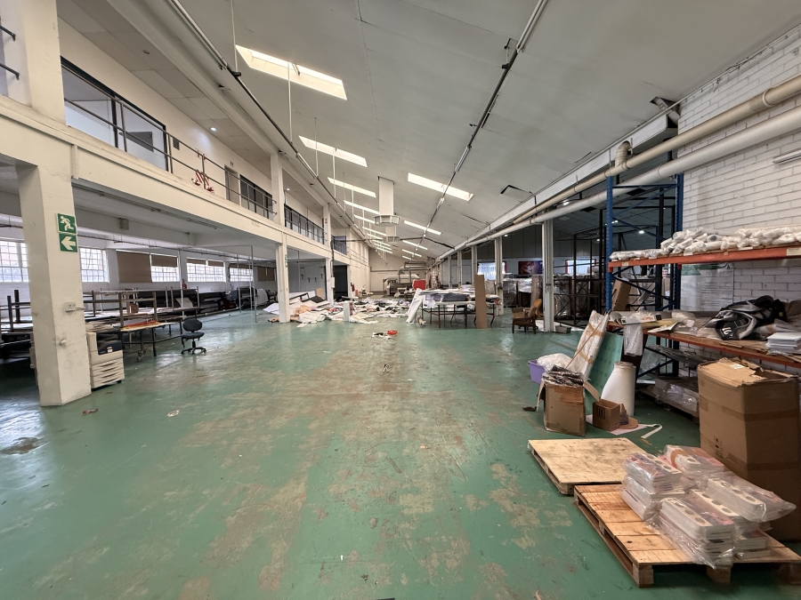 To Let commercial Property for Rent in Beaconvale Western Cape